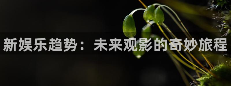 长征娱乐主管