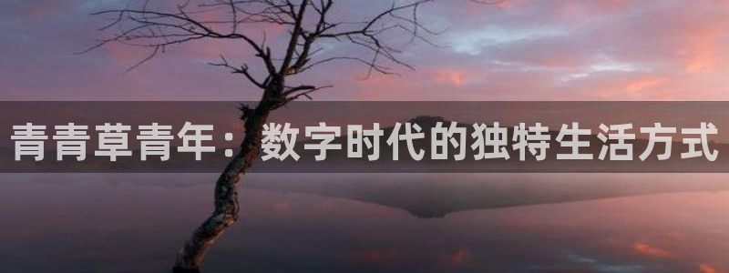 长征娱乐平台