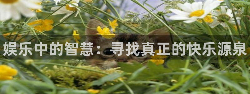 长征娱乐登录