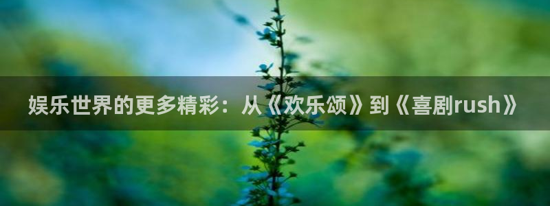 长征娱乐
