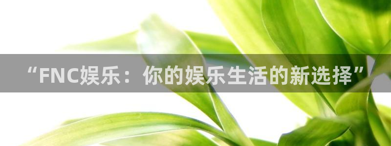 长征娱乐平台注册