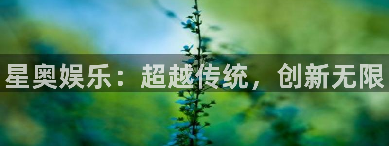 长征娱乐平台